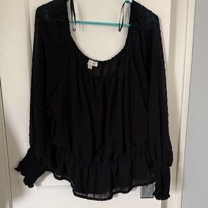 Sheer Sleeve Black Longsleeve Top